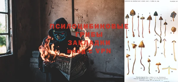 гидра Лиски