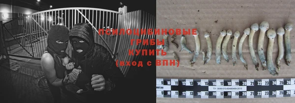 мдпв Лихославль