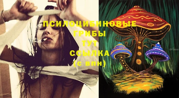мдпв Липки