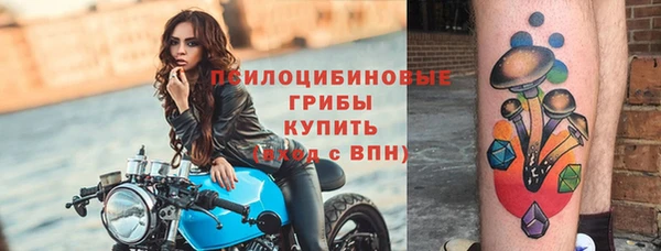 мдпв Липки