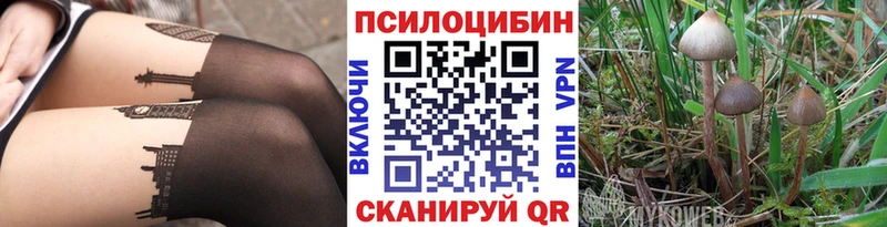 Псилоцибиновые грибы мицелий  Рассказово 